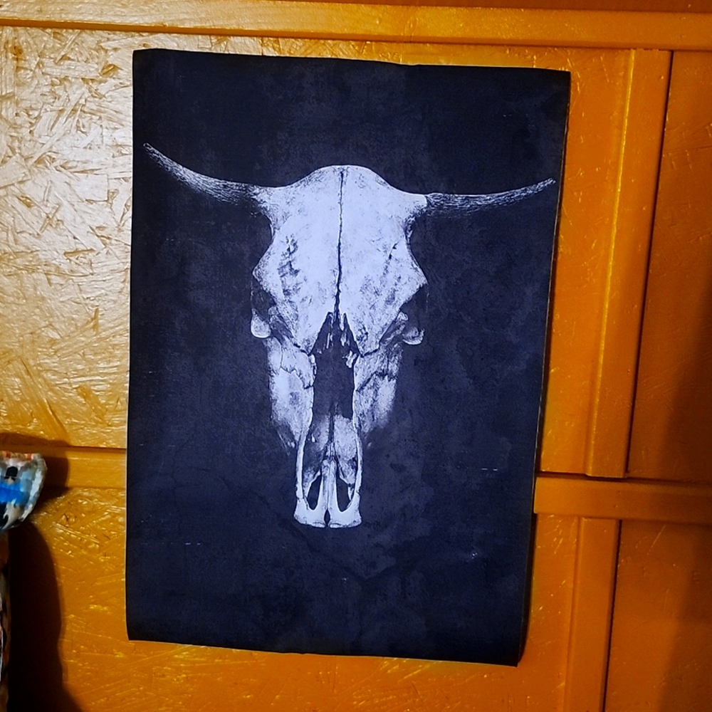 Cow skull picture